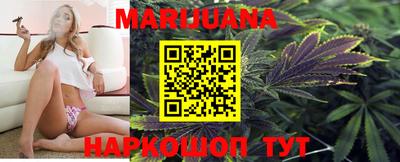 индика Усть-Джегута