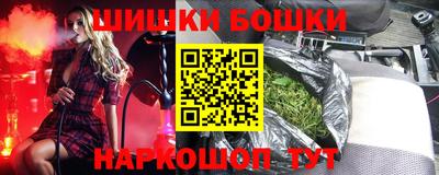 индика Усть-Джегута