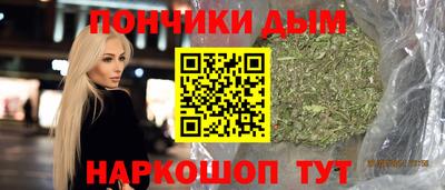 индика Усть-Джегута