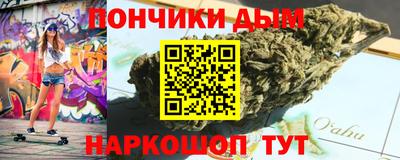 индика Усть-Джегута