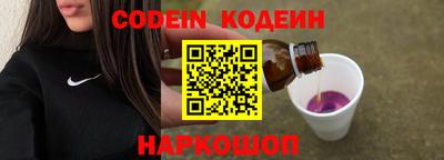 индика Усть-Джегута