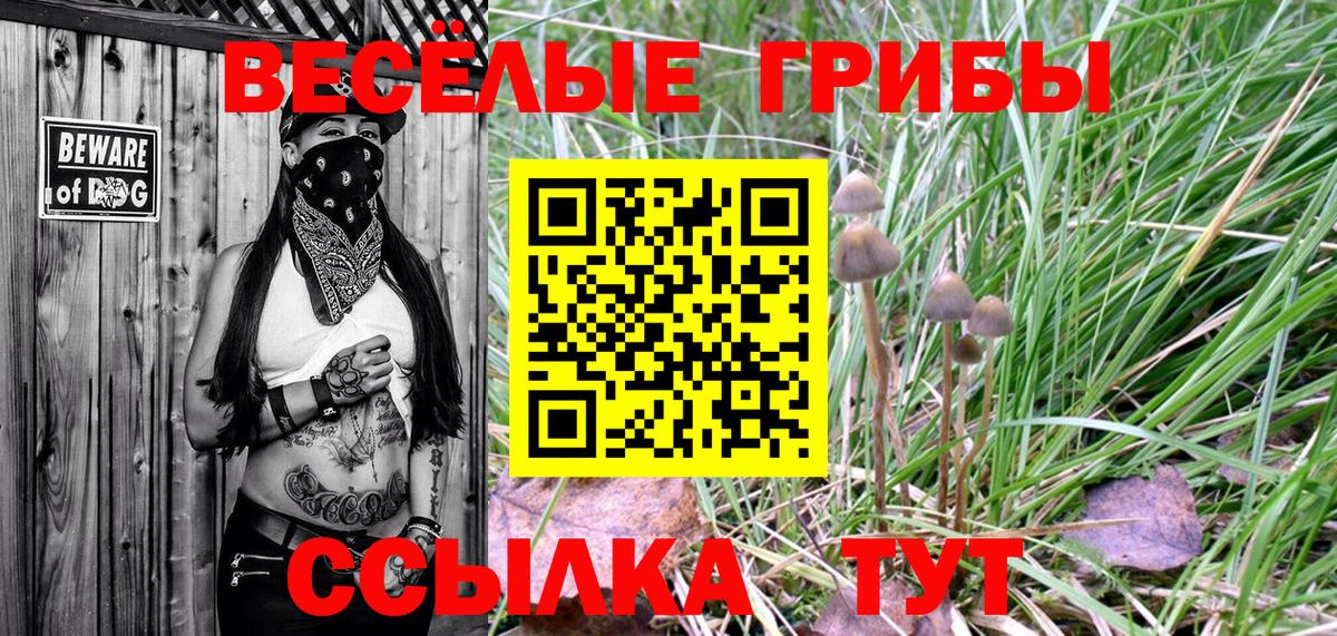 Галлюциногенные грибы Psilocybe Муравленко